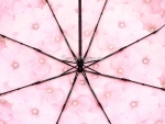 Зонт  женский Zicco, арт.2240-8_product